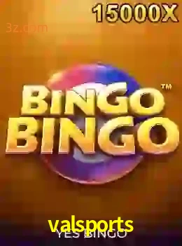 bingobingo